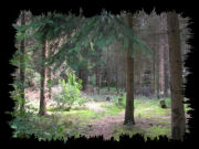 Natuurlijk Etten-Leur